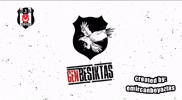 Beşiktaş GIF