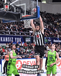 Ante Zizic GIF