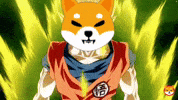Shib Coin GIF by SHIB MEMES