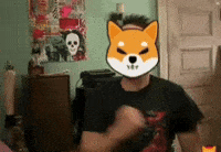 Shib Coin GIF by SHIB MEMES
