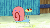season 9 gary's new toy GIF by SpongeBob SquarePants