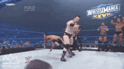 Wwe Wrestling GIF by BASILISK Research