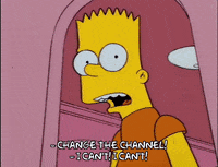 homer simpson GIF