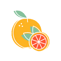Fruit Grapefruit Sticker by Cocktail.Shop