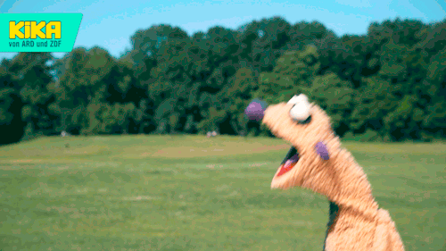 confused oh no GIF by KiKA