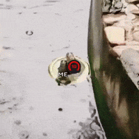 Global Offensive Cs GIF by BLAST