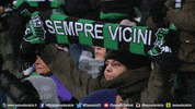 serie a goal GIF by U.S. Sassuolo Calcio