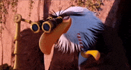Watching Angry Birds GIF