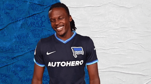 Bundesliga Berlin GIF by Hertha BSC
