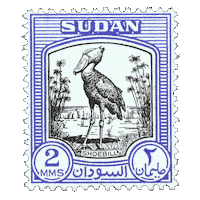 Sudan Shoebill Sticker