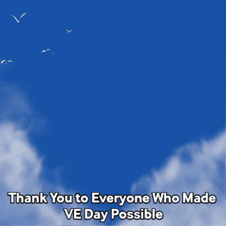 Lest We Forget Victory GIF by TeaCosyFolk