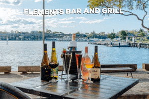 Elements Bar And Grill GIF