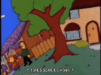 homer simpson wtf GIF