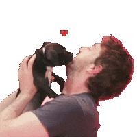 Puppy Puppies Sticker by BuzzFeed