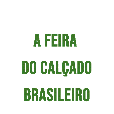 Tenis Feira Sticker by Abicalçados