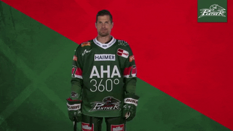 Celebration Goal GIF by Augsburger Panther Eishockey GmbH