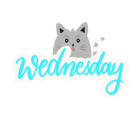 Wednesday Weekdays Sticker