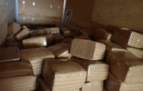 taliacdllife giphygifmaker GIF