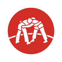 Kraftkom werbeagentur stgallen schwingen esaf Sticker