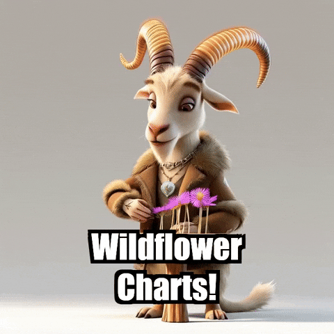 Presentation GIF by Radiantelope