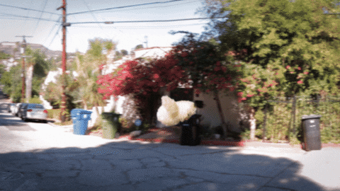 philiphodges giphyupload GIF