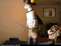Puss In Boots Cat GIF