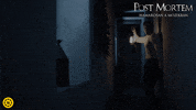 Post Mortem Film GIF by InterCom