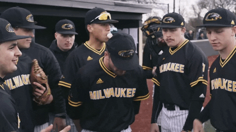 mkepanthers giphyupload dancing baseball college GIF
