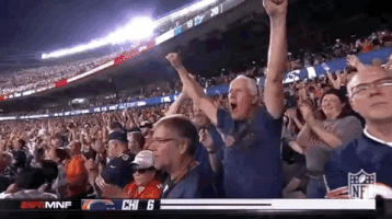 2018 Nfl Football GIF by NFL