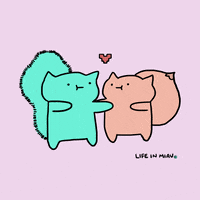 lifeinmiau love amor cats hug GIF