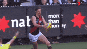 aussie rules smile GIF by Essendon FC