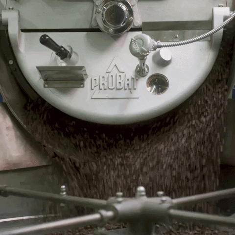 Coffee Beans Roast GIF by Pilot Coffee Roasters