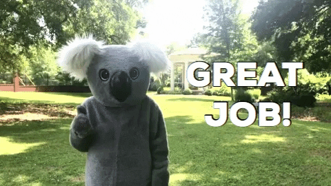 great job koala GIF by Columbia College