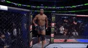 Francis Ngannou Sport GIF by UFC