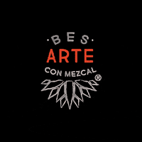 Mezcal Besarteconmezcal GIF by Bes-Arte con Mezcal