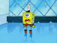 season 5 new digs GIF by SpongeBob SquarePants