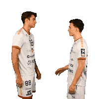 Assosrvhb Sticker by Saint-Raphaël Var Handball