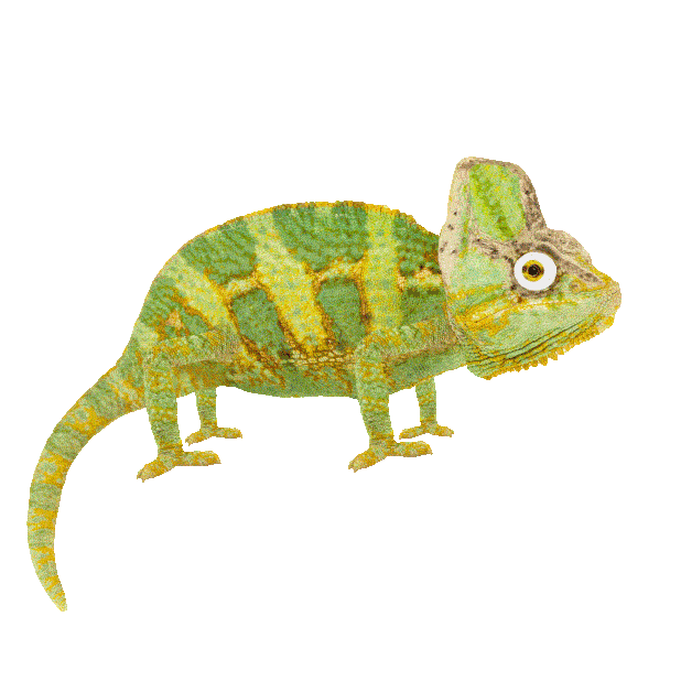 Cant Even Party Animals Sticker by chris timmons