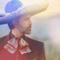 Alejandro Fernandez GIF by Fonovisa