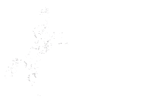 the_ranch horse cowboy camp polaroid Sticker