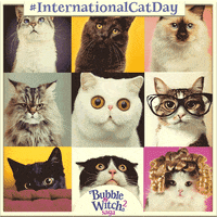 international cat day cats GIF by Bubble Witch