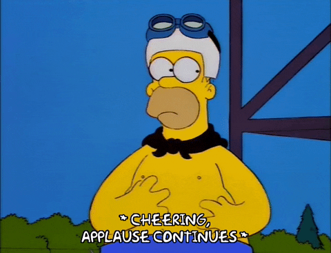 homer simpson episode 24 GIF