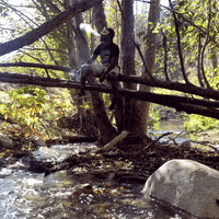 soulllfoo nature photo weed namaste GIF
