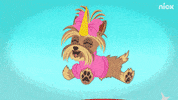 jojo siwa dog GIF by Nickelodeon