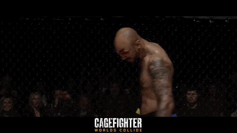 Mixed Martial Arts Fight GIF by Indiecan Entertainment Inc.