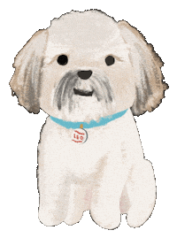 Shih Tzu Dog Sticker by breadcrumbsclub