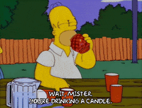 homer simpson GIF