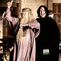 Harry Potter Win GIF by WTF Leagues