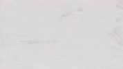 Lol Wtf GIF by Gavin James
