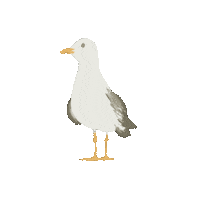 West Coast Bird Sticker by Monika Hibbs